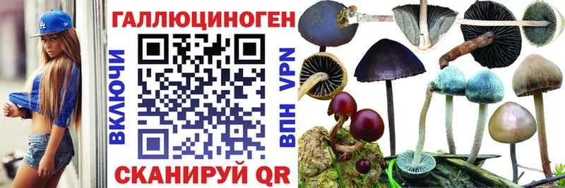 Псилоцибиновые грибы ЛСД  купить  цена  darknet клад  Пойковский 